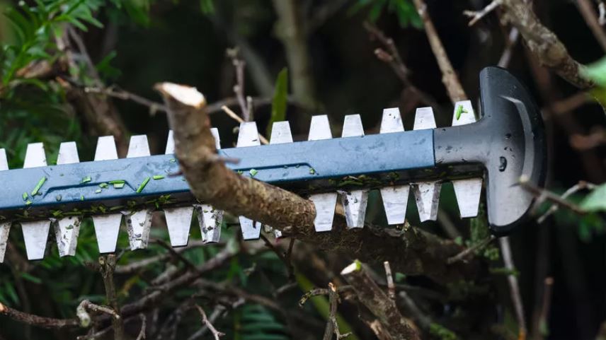 Taille-haies sans-fil GHE 18V-50 (II) Pro Bosch 06008C9600